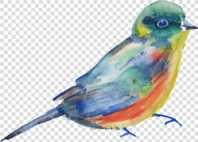 Bird Parrot Transparent Watercolor Watercolor Painting   Watercolor Bird Transparent Background  HD Png DownloadTransparent PNG