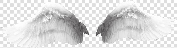  alas  de  angel  wings  HD Png DownloadTransparent PNG