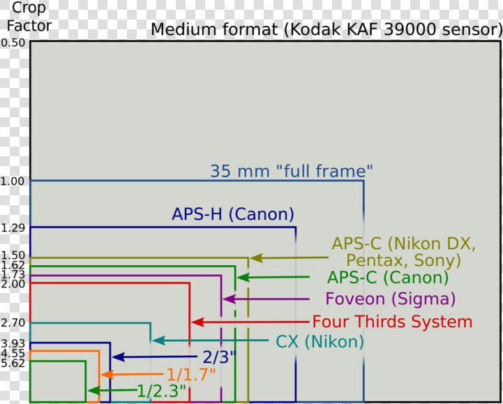 Canon  Nikon sony  Pentax  Panasonic Sensor Size Comparison   Full Frame Vs Aps C Size  HD Png DownloadTransparent PNG