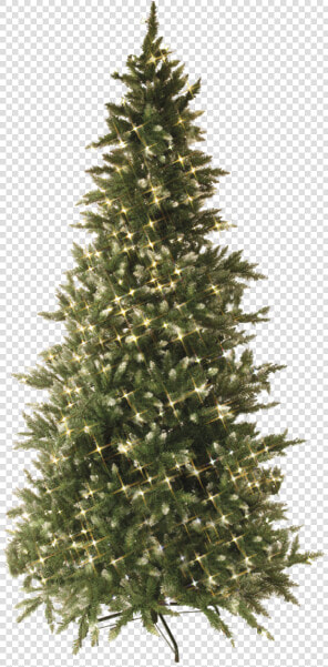 Christmas Tree W Led Vancouver   Pre Lit Christmas Tree  HD Png DownloadTransparent PNG