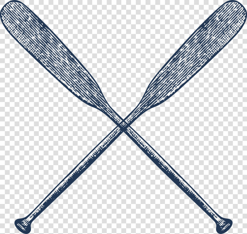 Transparent Oar Png   Damselfly  Png DownloadTransparent PNG