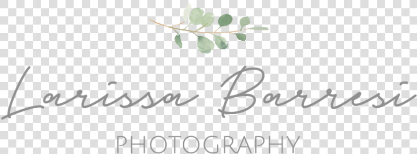 Larissa Barresi Photography   Calligraphy  HD Png DownloadTransparent PNG