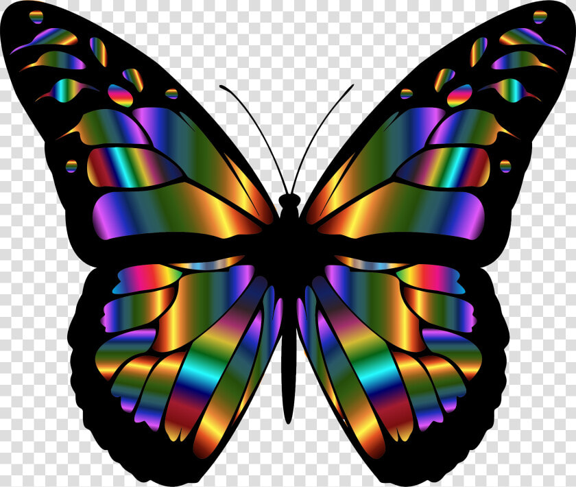 Monarch Butterfly Emrald Png   Colorful Butterfly Wings  Transparent PngTransparent PNG