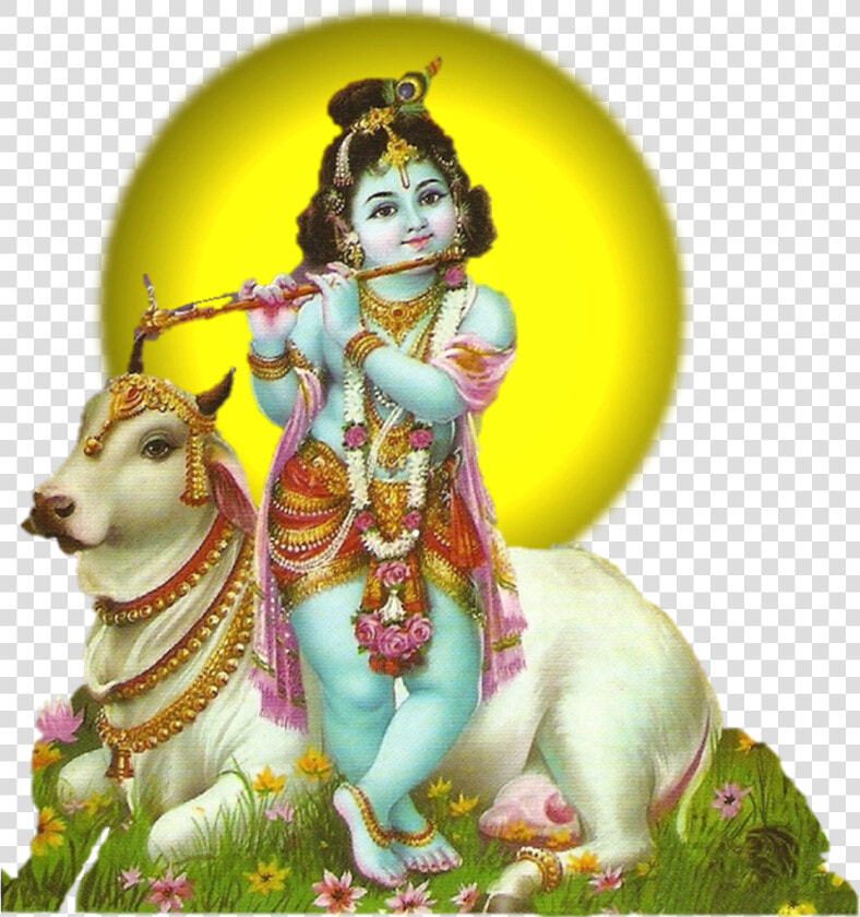 Krishna Janmashtami   Krishna With Cow Png  Transparent PngTransparent PNG