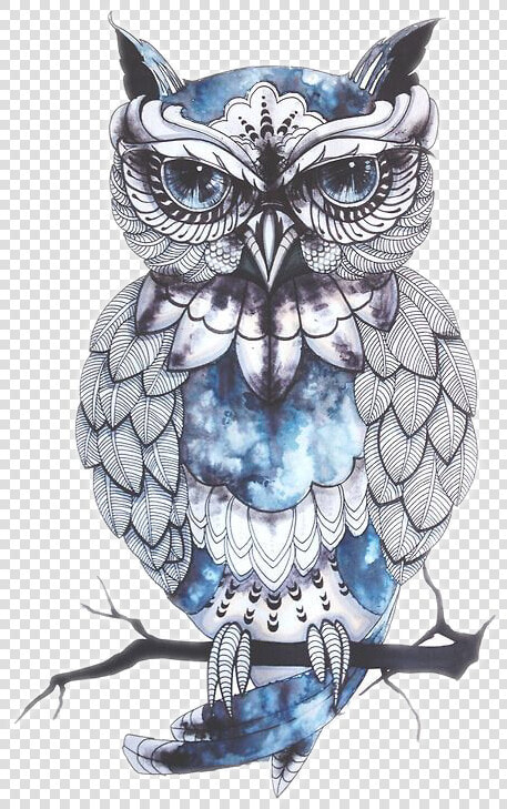 Owl Drawing Artist Bird Tattoo Png Free Photo Clipart   Owl Png  Transparent PngTransparent PNG