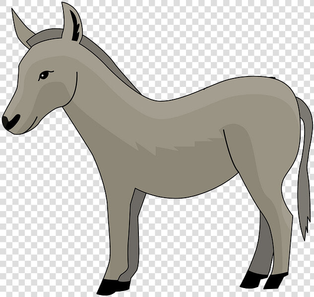 Burro  HD Png DownloadTransparent PNG