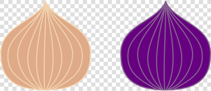 Onion  Icon  Vegetables  Food  Healthy  Power  Salad   Bawang Merah Vektor Png  Transparent PngTransparent PNG