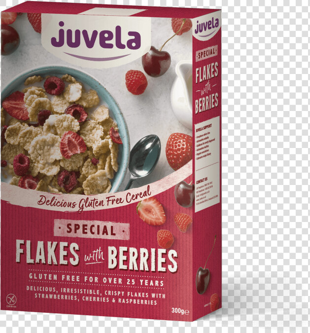 Flakes With Red Berries   Corn Flakes  HD Png DownloadTransparent PNG