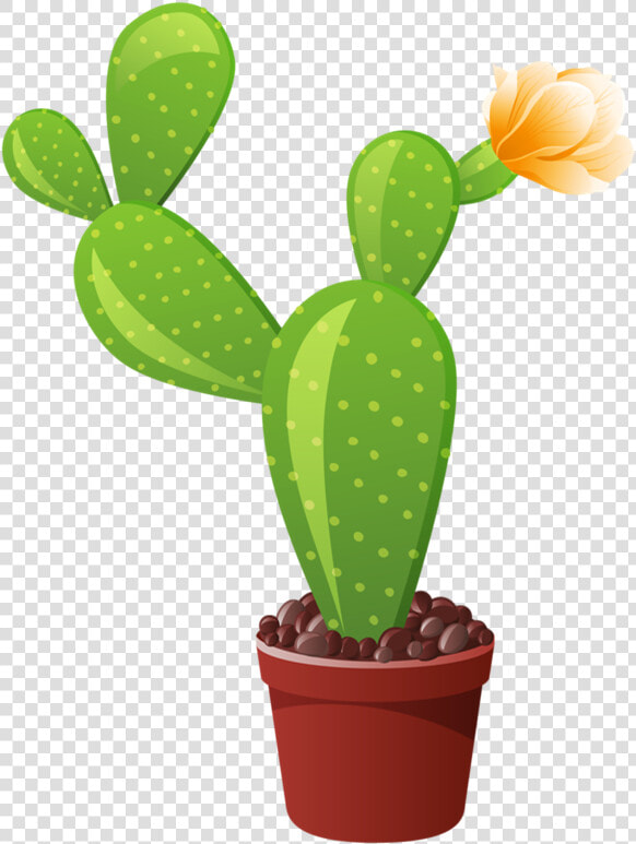 1 Indoor Flowers  Flower Pots  Cactus Art  Flower Clipart    Different Types Of Cactus  HD Png DownloadTransparent PNG