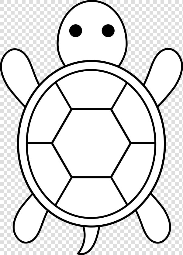 Tortoise   Turtle Shell Pattern Easy  HD Png DownloadTransparent PNG