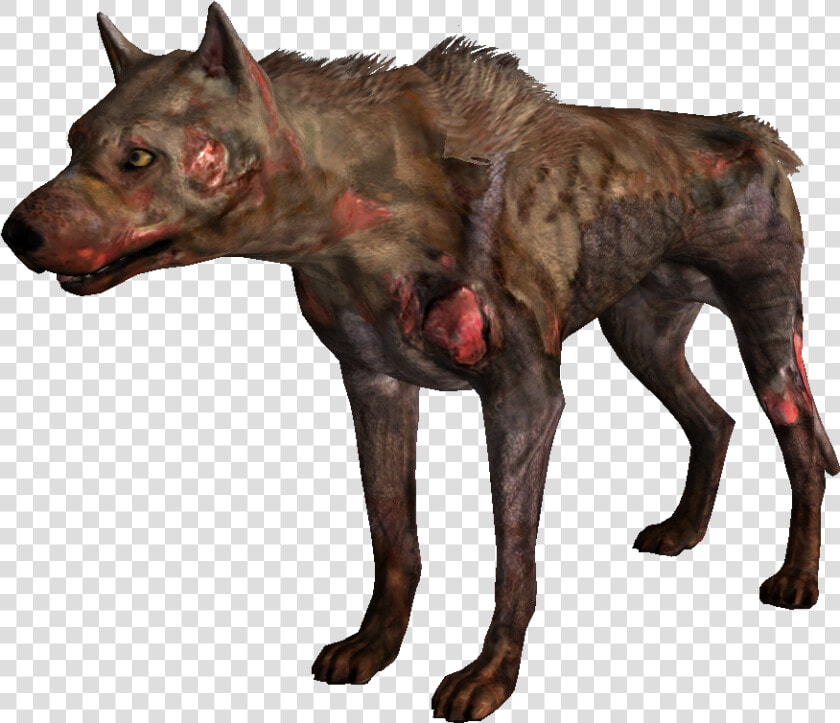 Nukapedia The Vault   Legion Mongrel Fallout  HD Png DownloadTransparent PNG