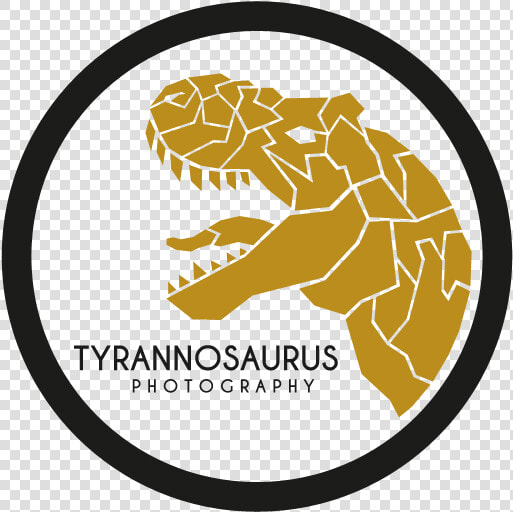 Logo Design By Shank For This Project   Illustration  HD Png DownloadTransparent PNG