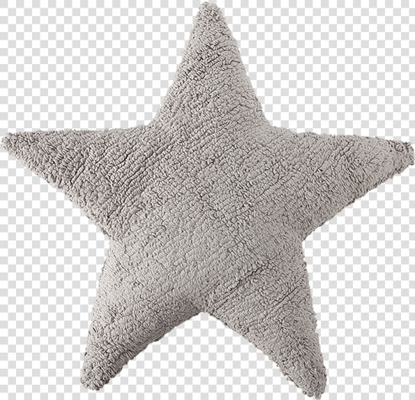 Grey Star Cushions  HD Png DownloadTransparent PNG