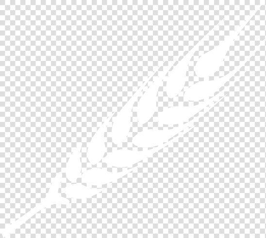 Ramo De Trigo Png Branco  Transparent PngTransparent PNG