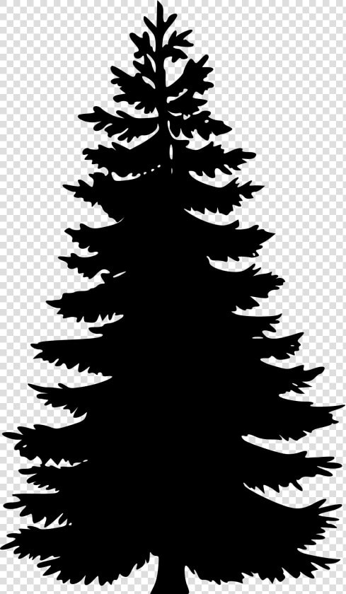 Pine Tree Png Vector   Pine Tree Vector Png  Transparent PngTransparent PNG