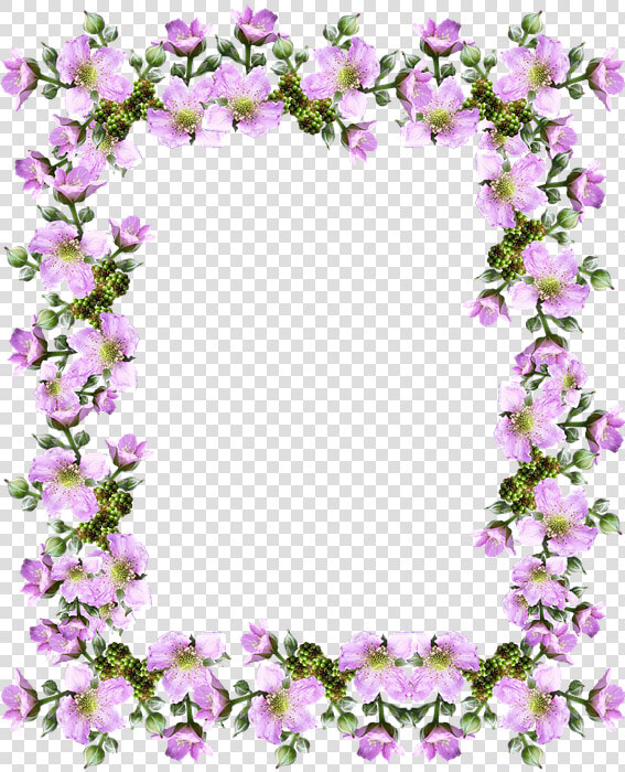 Frame  Border  Pink  Blackberry  Blossom   Bebe Felicitări  HD Png DownloadTransparent PNG