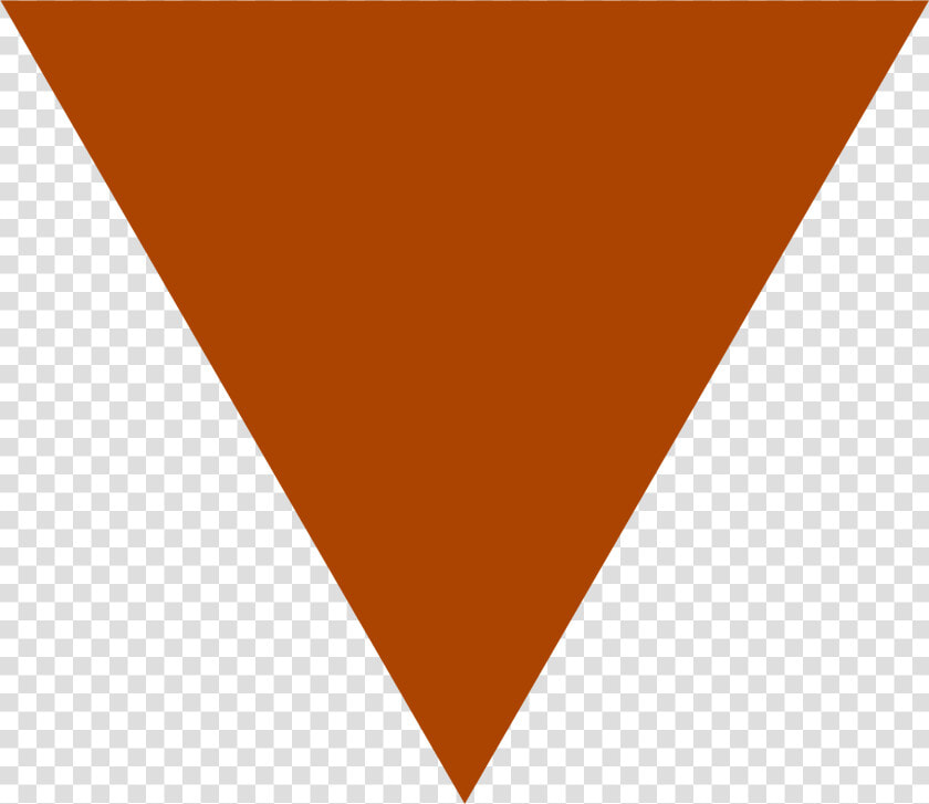 Verse And Dimensions Wikia   Upside Down Brown Triangle  HD Png DownloadTransparent PNG