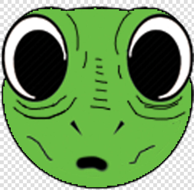 Lizard Dehydrated  HD Png DownloadTransparent PNG