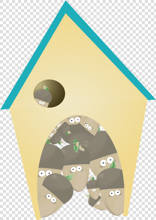 Building  House  Homepage  Home Icon   Acorn Icon  HD Png DownloadTransparent PNG