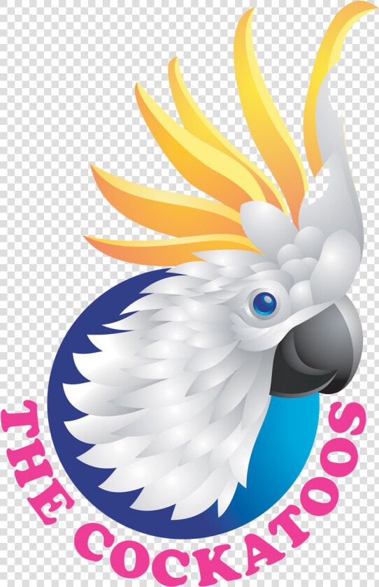 The Cockatoos   Cockatoo  HD Png DownloadTransparent PNG