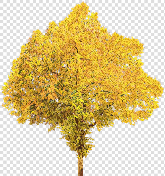 Fall Tree Portable Network Graphics Clip Art Autumn   Fall Tree Transparent Background  HD Png DownloadTransparent PNG