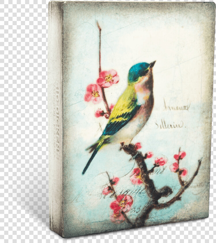 Vintage Pajaros Fondo   Png Download   Best Painting Of Birds  Transparent PngTransparent PNG