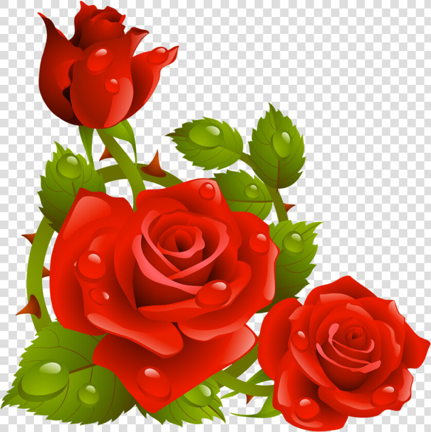 Фото  Автор K   Clip Art Borders Flowers Rose  HD Png DownloadTransparent PNG