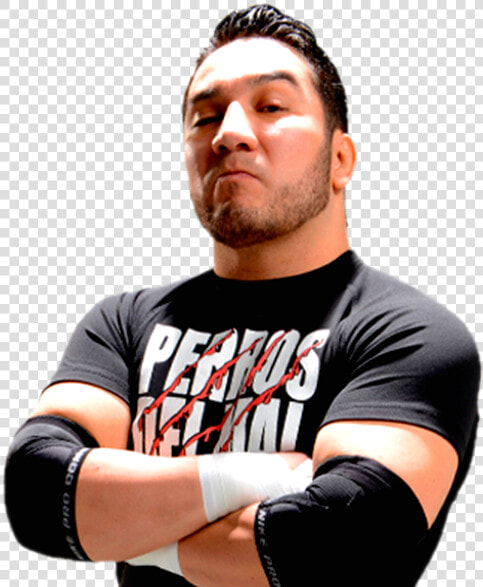 Hijo Del Perro Aguayo   Perro Aguayo Png  Transparent PngTransparent PNG