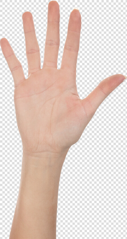 Clipart Hand Forearm   High Five Hand Png  Transparent PngTransparent PNG