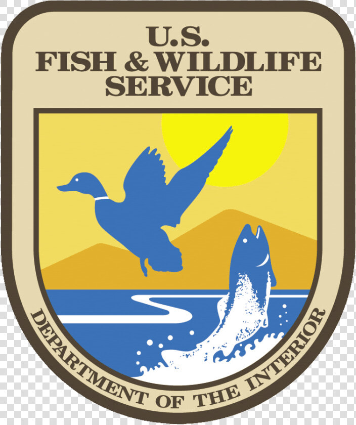 Usfws   Us Endangered Species Act  HD Png DownloadTransparent PNG