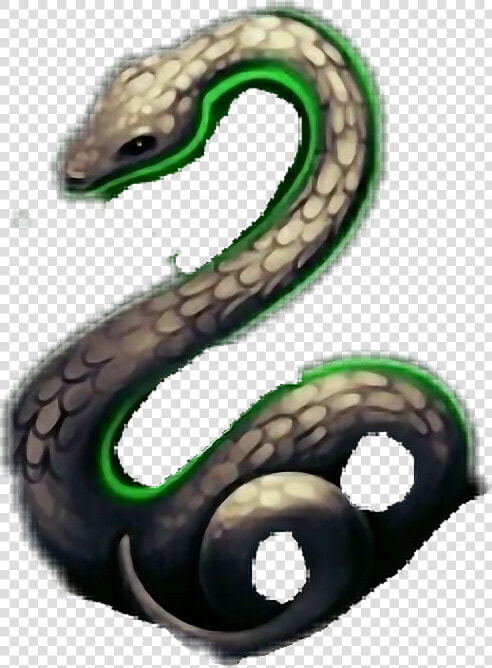  serpiente  slytherin   Serpent  HD Png DownloadTransparent PNG