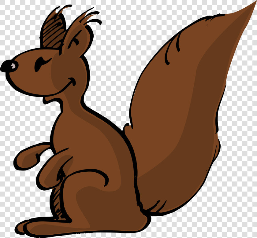 Wildlife hare carnivoran   Écureuil Clipart  HD Png DownloadTransparent PNG