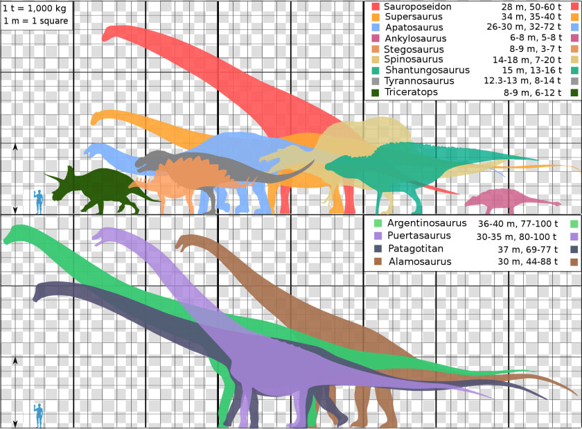 Dinosaur Size Comparison Biggest  HD Png DownloadTransparent PNG