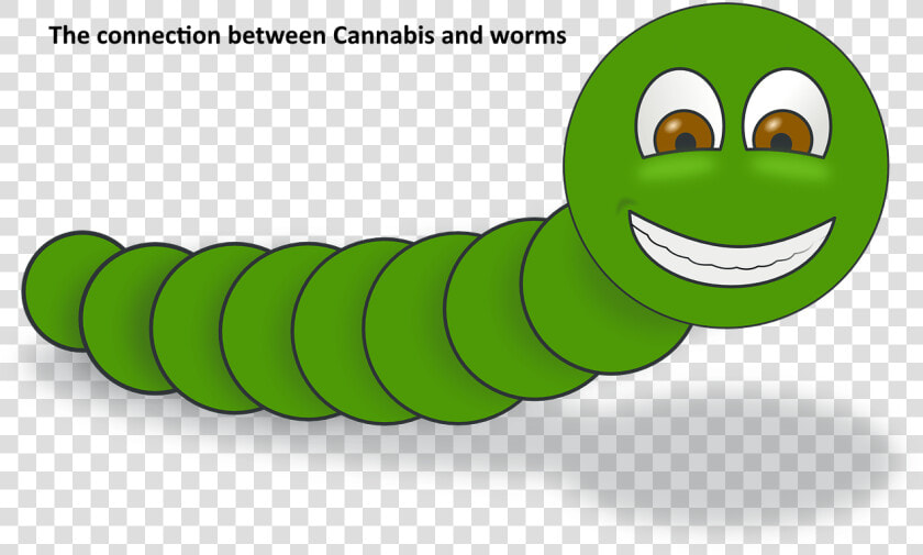 Larva   Worm Clip Art  HD Png DownloadTransparent PNG