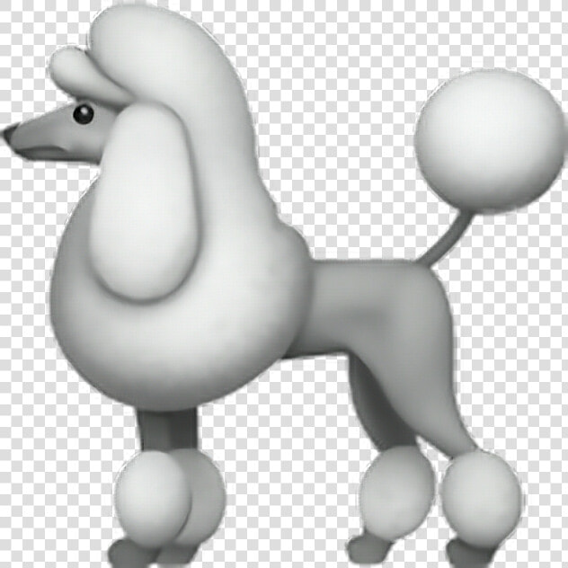  emoji  sticker  poodle  dog  puppy  white  fluffy   Poodle Emoji  HD Png DownloadTransparent PNG