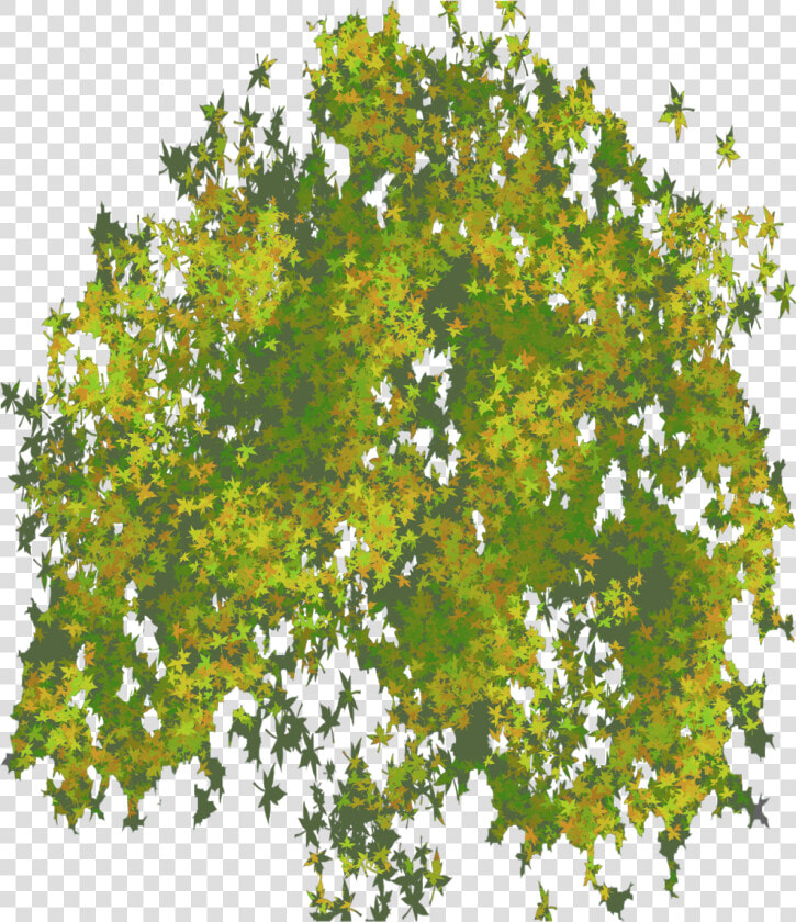 Photo Top Tree Png   Tree Leaf Png Top View  Transparent PngTransparent PNG