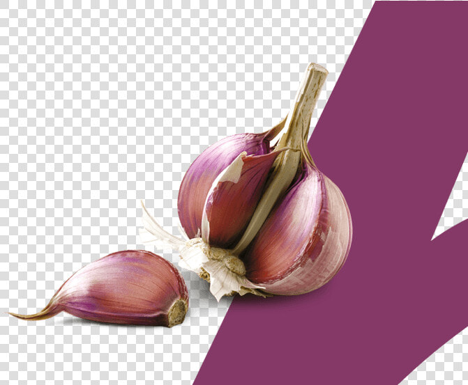 Ajo Espanol Calidad Proaco   Ajo Rosado O Morado  HD Png DownloadTransparent PNG