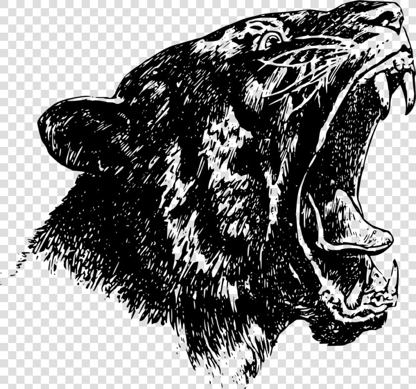 Roaring Tiger Svg Clip Arts   Northview Roar  HD Png DownloadTransparent PNG