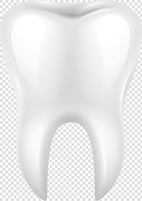 White Tooth Png Clip Art   Png Tooth  Transparent PngTransparent PNG