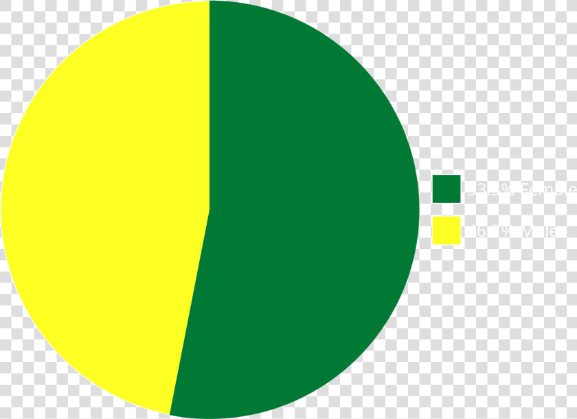 Pie Chart Of Enrollment Of Students By Sex   University Of Oregon Total Enrollment  HD Png DownloadTransparent PNG