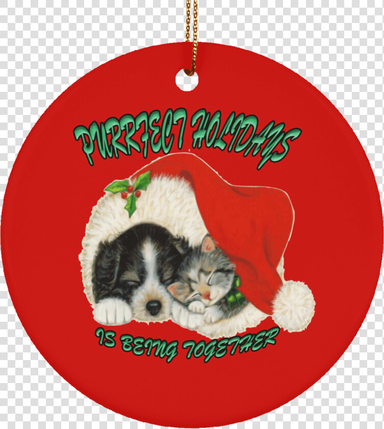 Christmas Dog And Cat Clip Art   Transparent Cartoons   Dog And Cat Christmas  HD Png DownloadTransparent PNG