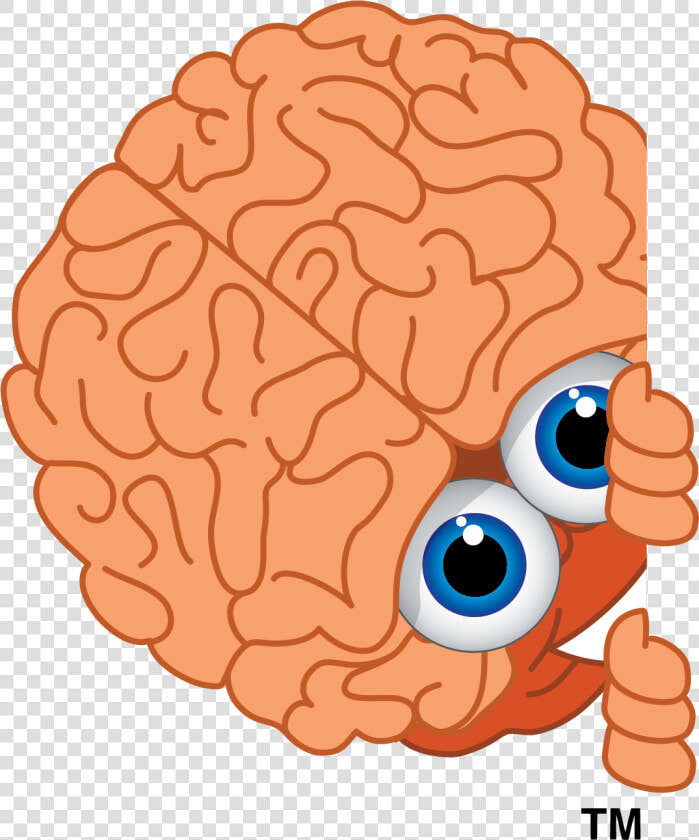 Lyle Wildes   Brain Clipart  HD Png DownloadTransparent PNG