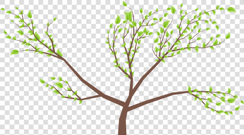 Twig  HD Png DownloadTransparent PNG