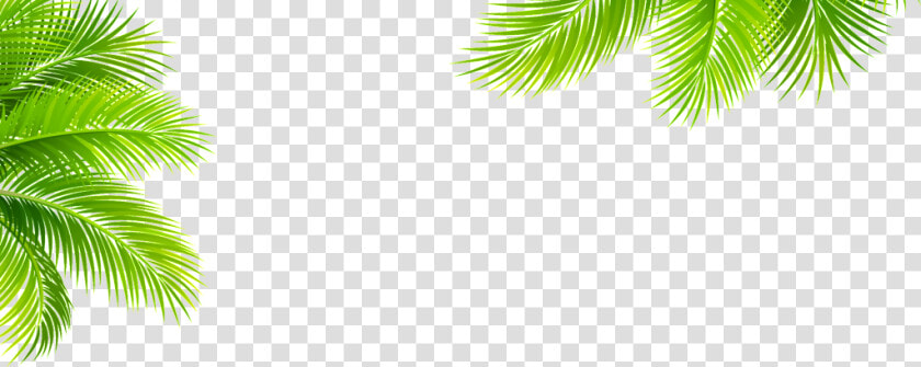 Transparent For Tropical Plant Elements   Tropical Plant Png  Png DownloadTransparent PNG