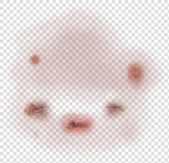 Snout  HD Png DownloadTransparent PNG