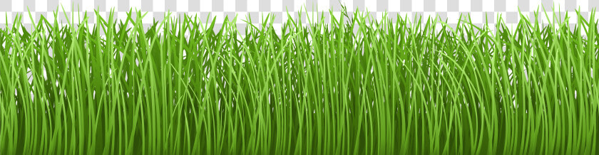 Transparent Grass Vector Png   Grass Ground Transparent  Png DownloadTransparent PNG