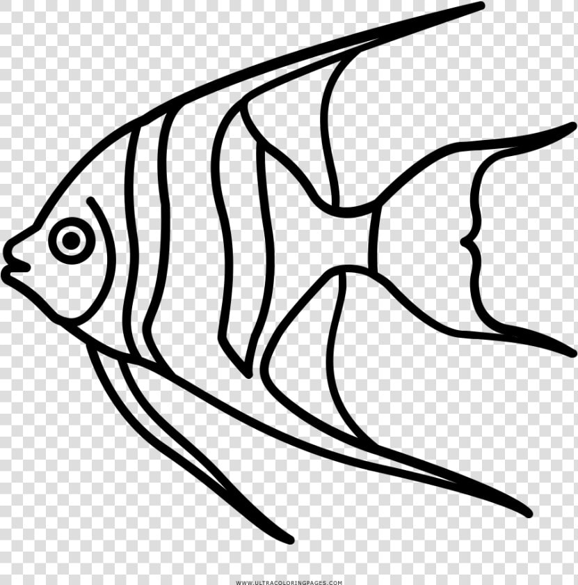 Angelfish Coloring Page   Coral Reef Fish  HD Png DownloadTransparent PNG