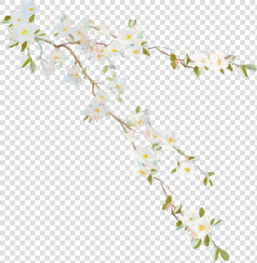 Flower Vine Desktop Wallpaper Clip Art   Flower Vine  HD Png DownloadTransparent PNG