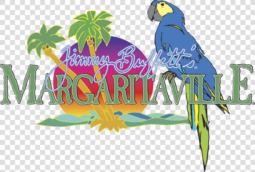 Jimmy Buffett  39 s Margaritaville Locations  HD Png DownloadTransparent PNG