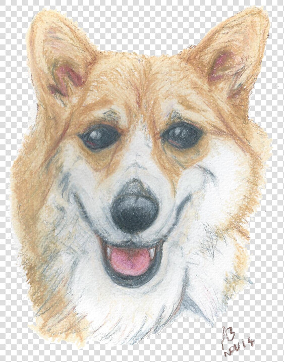 A Watercolour Pencil Drawing Of A Corgi   Pembroke Welsh Corgi  HD Png DownloadTransparent PNG